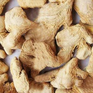 निर्जलित अदरक की जड़